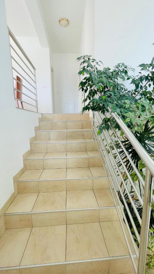 Villa Maestral Zadar Exteriér fotografie